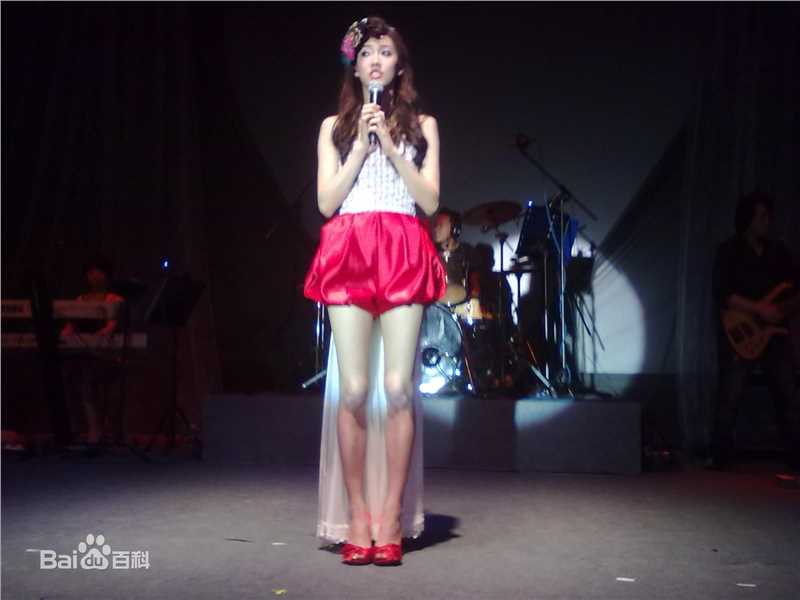 张弦子(Stringer)2010年弦子广州演唱会壁纸壁纸