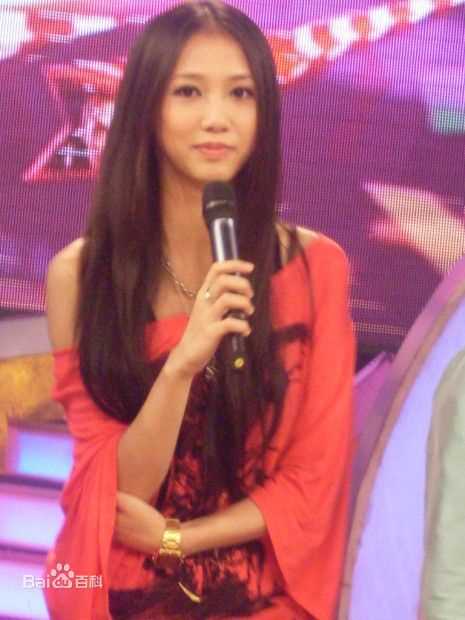 张弦子(Stringer)弦子参加电视采访活动素颜照壁纸