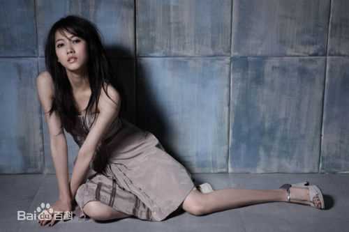 张弦子(Stringer)最优质弦子杂志摄影相册