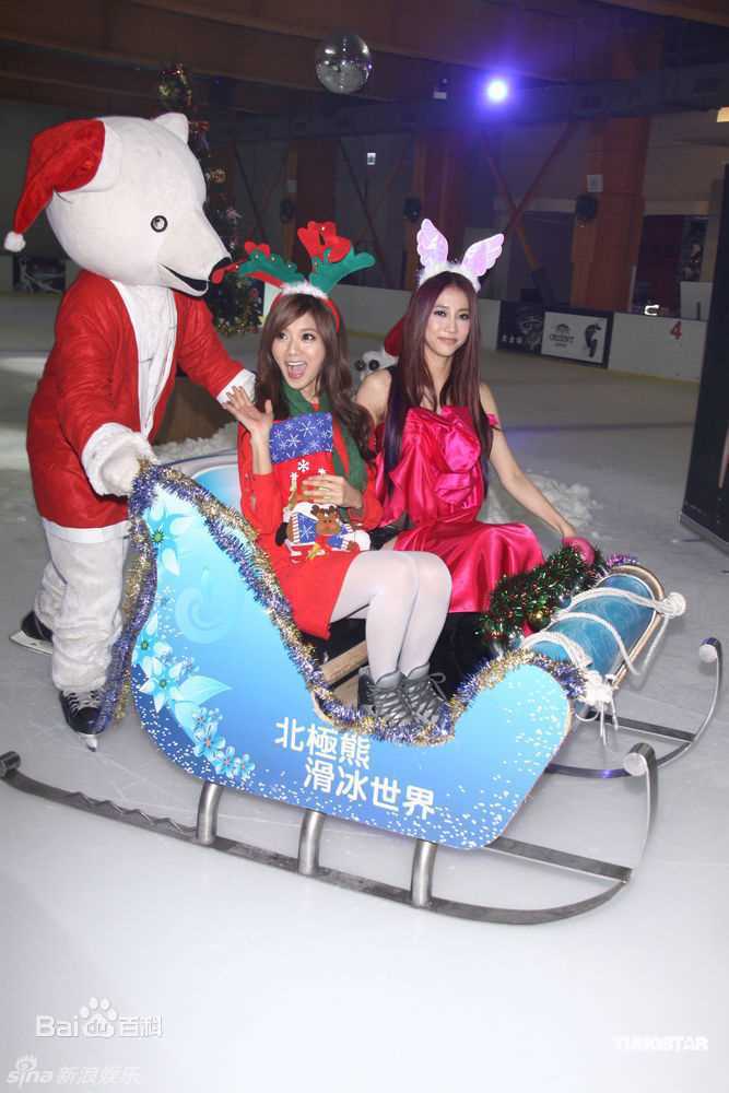 最优质张弦子(Stringer)弦子精彩图册