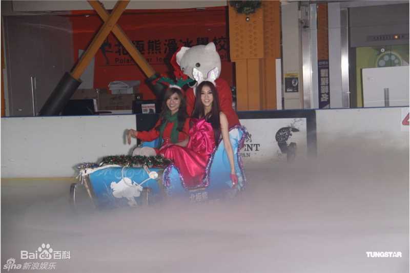 最优质张弦子(Stringer)弦子精彩图册