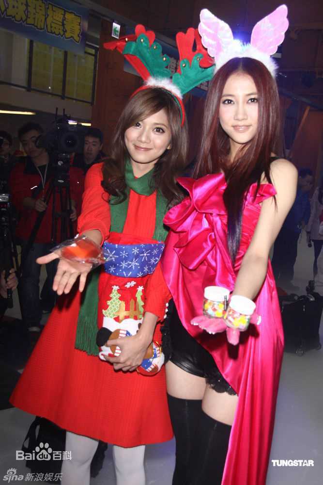 最优质张弦子(Stringer)弦子精彩图册