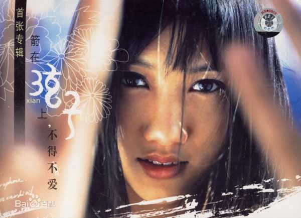 张弦子(Stringer)前后照片