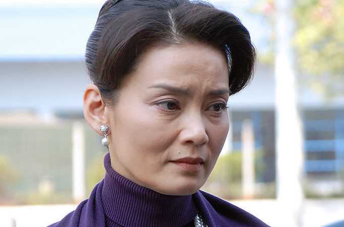 精选潘虹(Pan Hong)