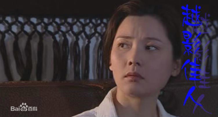 何赛飞(Caifei He)参演作品精选剧照