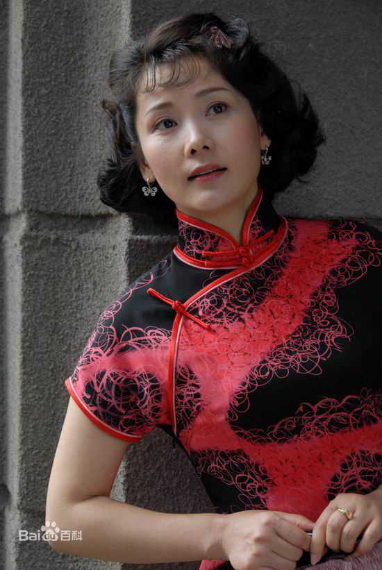 何赛飞(Caifei He)参演作品精选剧照