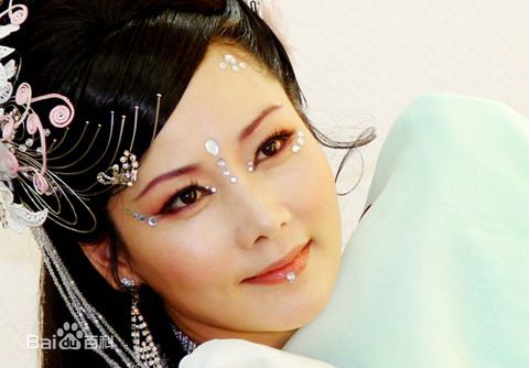 何赛飞(Caifei He)最优质剧照