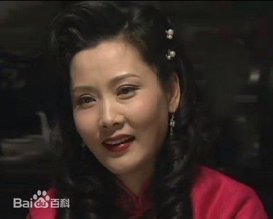 何赛飞(Caifei He)最优质剧照