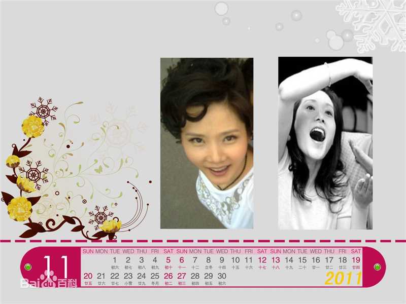 何赛飞(Caifei He)2011年年历照壁纸壁纸