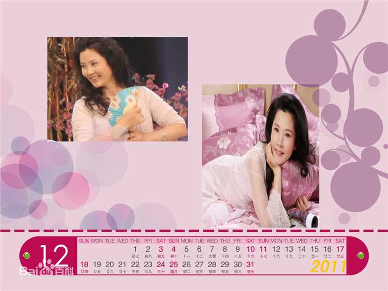 何赛飞(Caifei He)2011年年历照壁纸壁纸