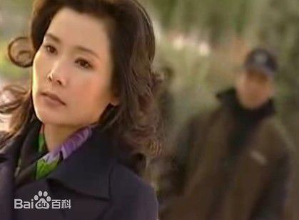 何赛飞(Caifei He)2001年《爱是阳光》最全剧照