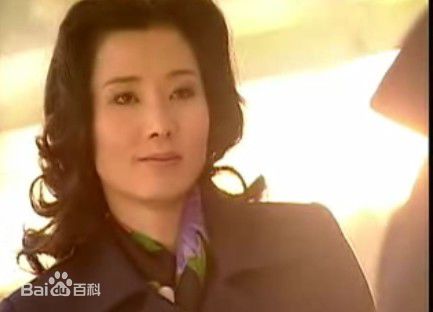 何赛飞(Caifei He)2001年《爱是阳光》最全剧照