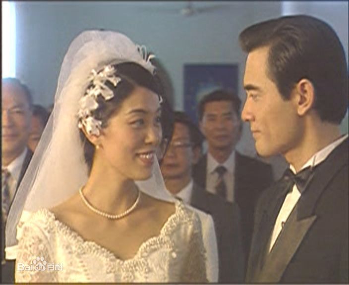 赵文瑄(Winston Chao)剧照集