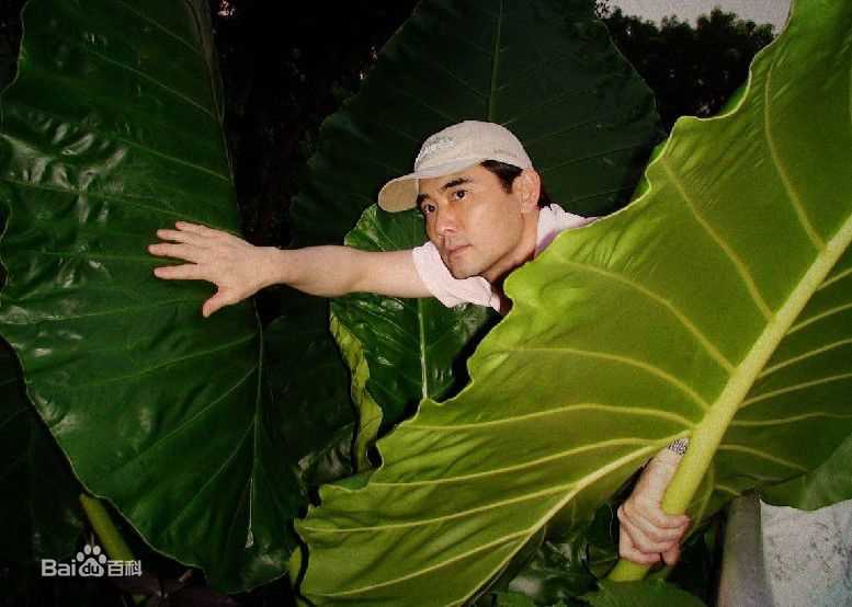 赵文瑄(Winston Chao)生活照图册