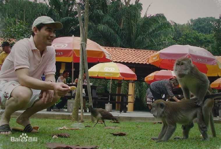 赵文瑄(Winston Chao)生活照图册