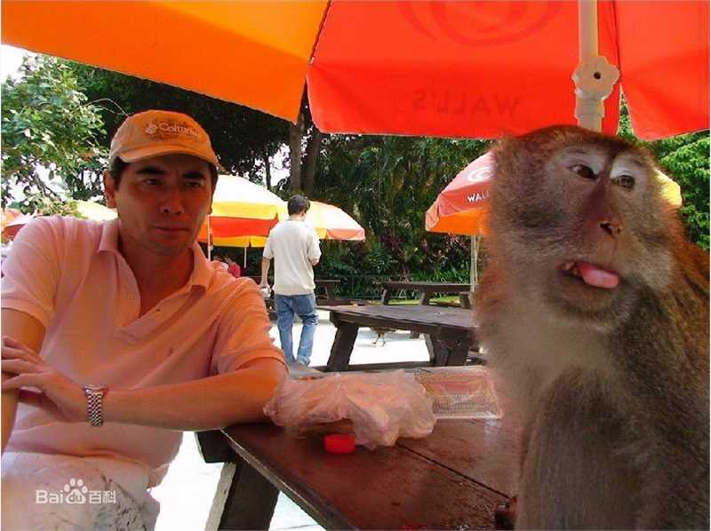 赵文瑄(Winston Chao)生活照图册