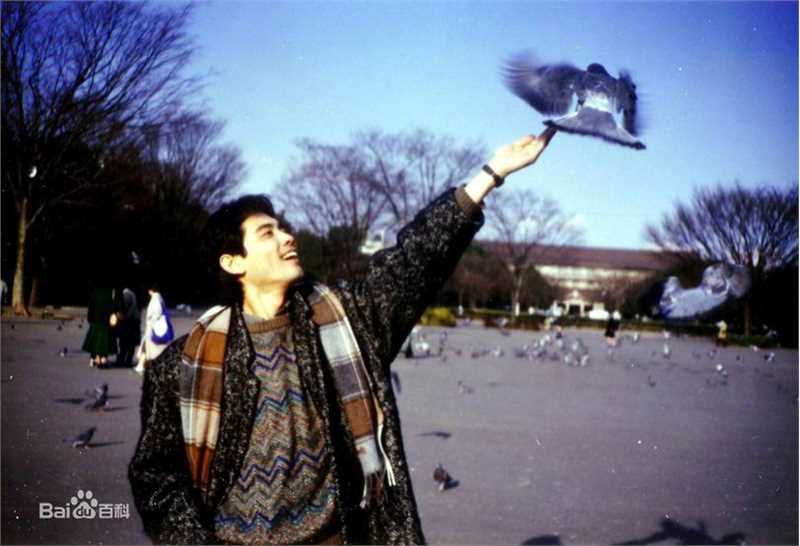 赵文瑄(Winston Chao)年轻照素颜照相册