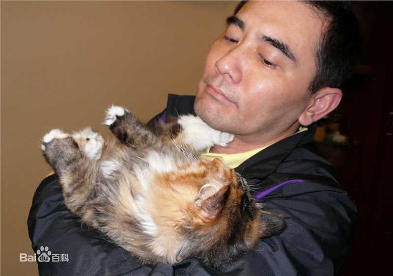 赵文瑄(Winston Chao)与动物合照前后照片