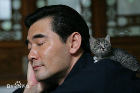 赵文瑄(Winston Chao)与动物合照前后照片