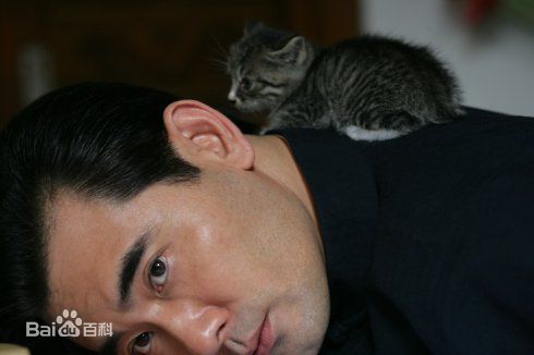 赵文瑄(Winston Chao)与动物合照前后照片