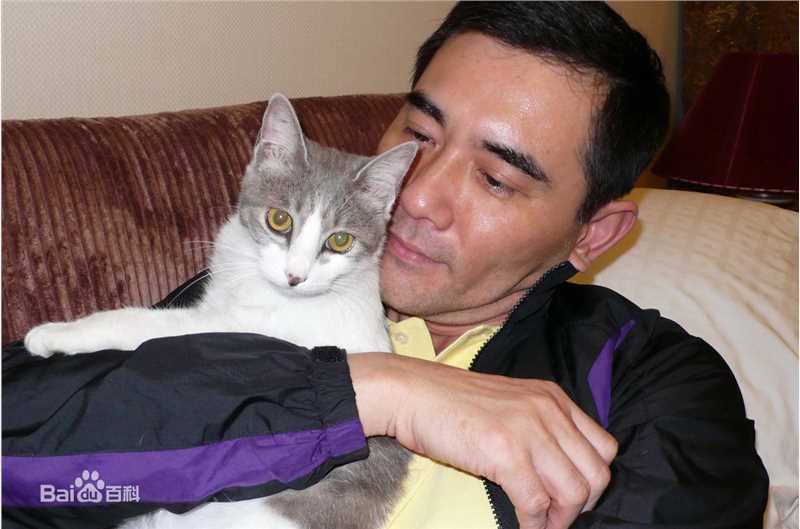 赵文瑄(Winston Chao)与动物合照前后照片