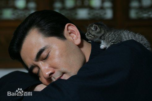 赵文瑄(Winston Chao)与动物合照前后照片