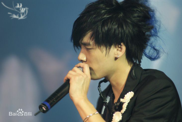 李易峰(Yifeng Li)2008 “我们易起峰”演唱会图册