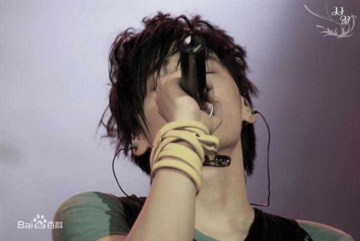 李易峰(Yifeng Li)2008 “我们易起峰”演唱会图册