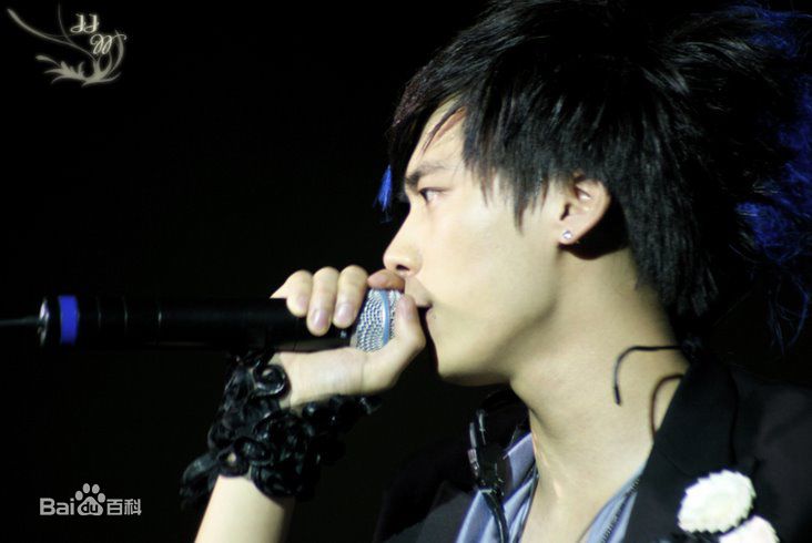 李易峰(Yifeng Li)2008 “我们易起峰”演唱会图册