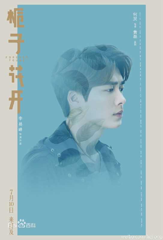 精选李易峰(Yifeng Li)在《栀子花开》许诺中的图册