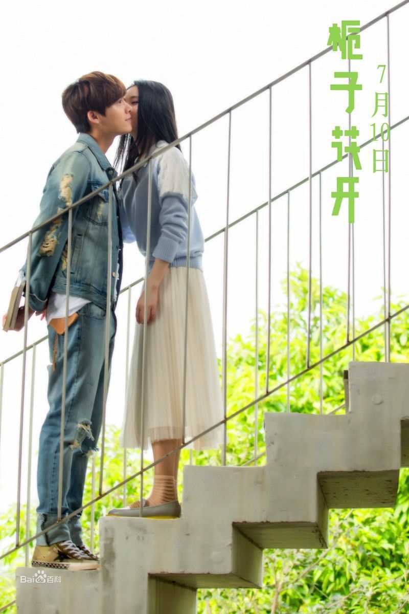 精选李易峰(Yifeng Li)在《栀子花开》许诺中的图册