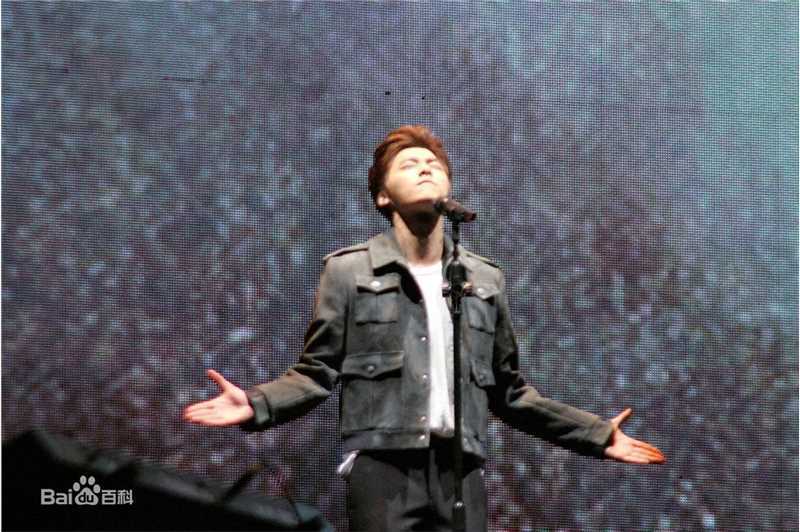 李易峰(Yifeng Li)峰狂2015演唱会图册