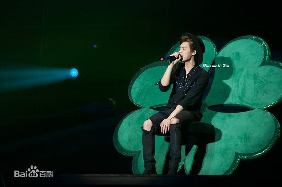 李易峰(Yifeng Li)峰狂2015演唱会图册