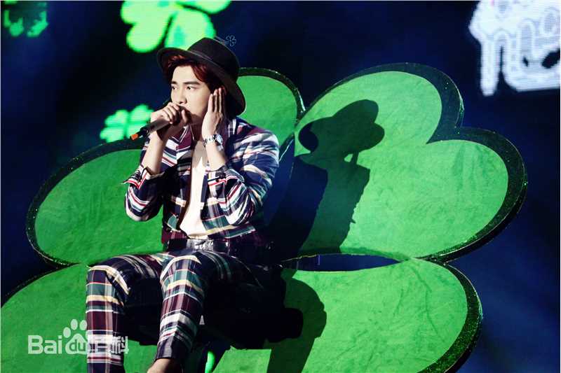 李易峰(Yifeng Li)峰狂2015演唱会图册