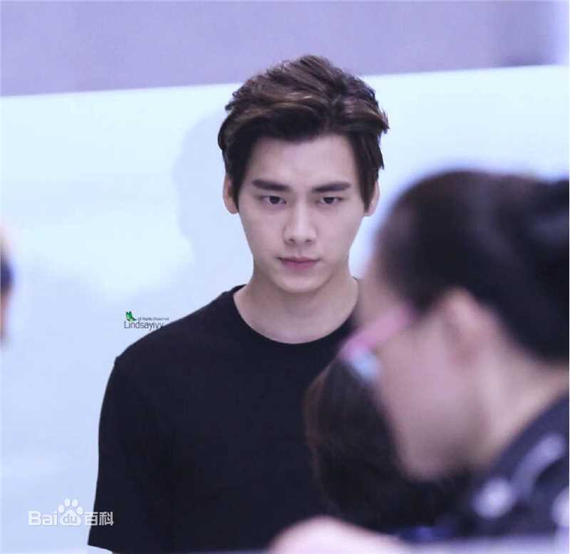 李易峰(Yifeng Li)机场秀性感图片图集