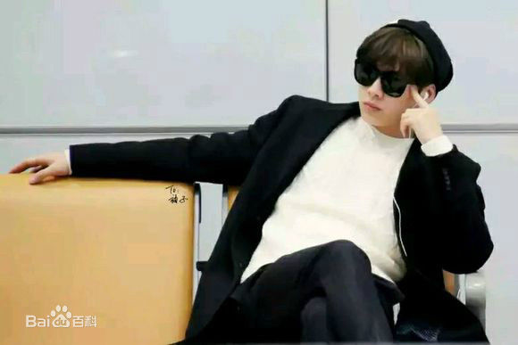 李易峰(Yifeng Li)机场秀性感图片图集