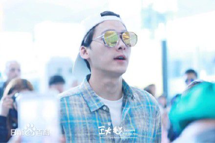 李易峰(Yifeng Li)机场秀性感图片图集