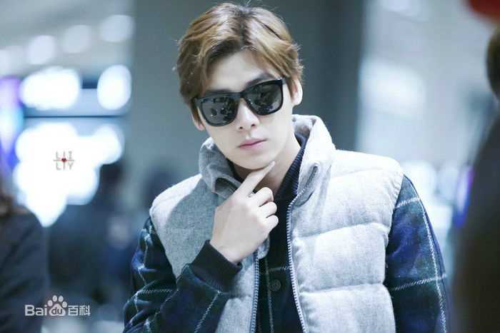 李易峰(Yifeng Li)机场秀性感图片图集