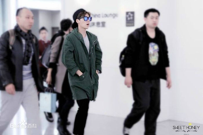李易峰(Yifeng Li)机场秀性感图片图集