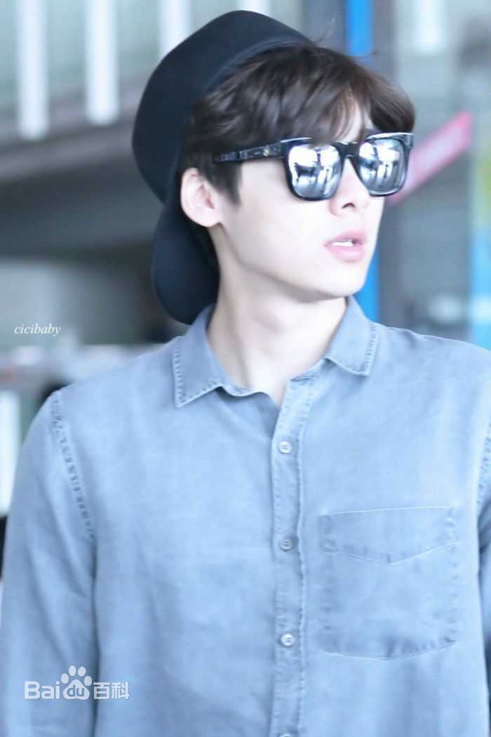 李易峰(Yifeng Li)机场秀性感图片图集