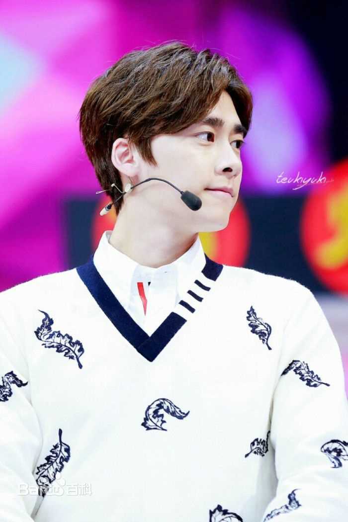 李易峰(Yifeng Li)综艺节目素颜照相册