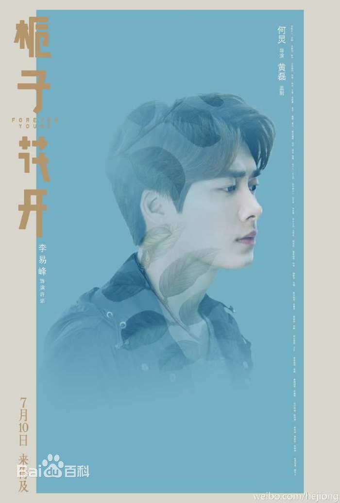 最优质李易峰(Yifeng Li)在电影《栀子花开》饰演许诺中的相册