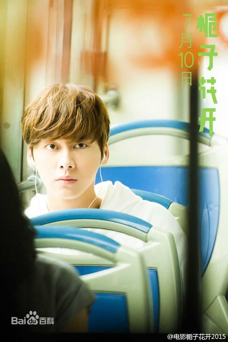 最优质李易峰(Yifeng Li)在电影《栀子花开》饰演许诺中的相册