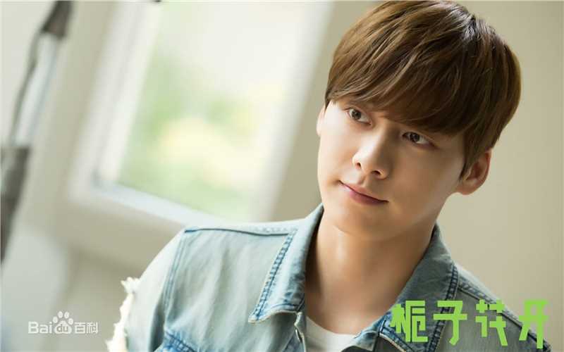 最优质李易峰(Yifeng Li)在电影《栀子花开》饰演许诺中的相册