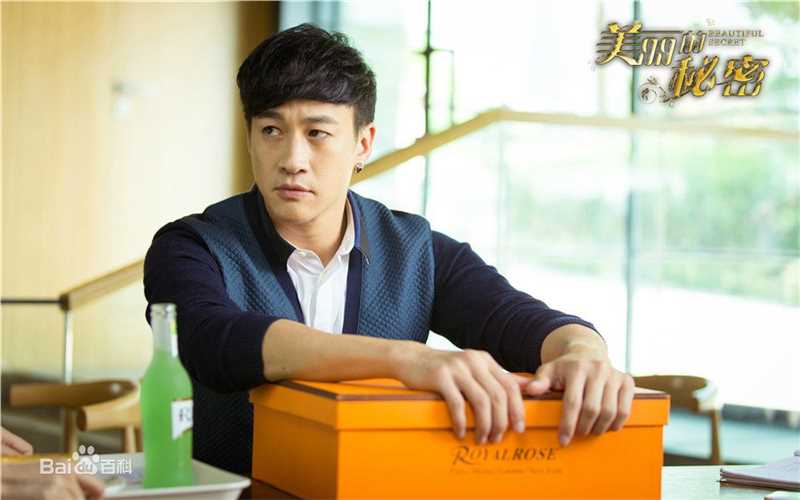 最新何润东(Peter Ho)在《美丽的秘密》中的壁纸