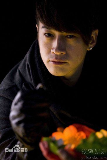 精选何润东(Peter Ho)精彩图册