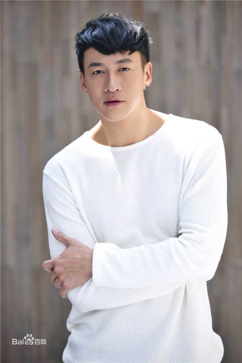 精选何润东(Peter Ho)