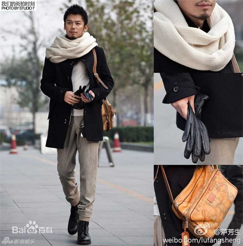 最优质芦芳生(Lu Fangsheng)精彩图册