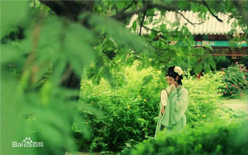 最新蒋梦婕在新版《红楼梦》饰演林黛玉中的图集