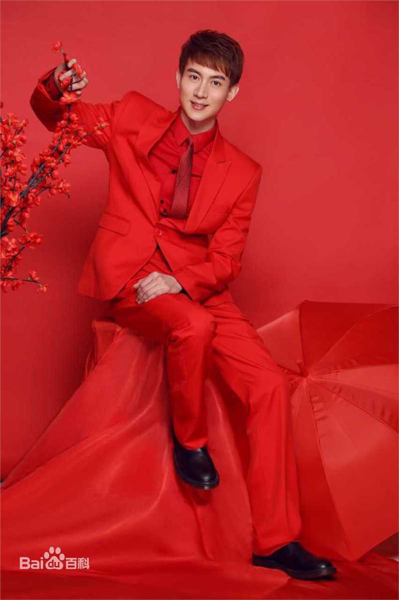 王龙华(Henry)精选新春图册